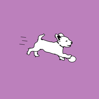 Run Doggy Run
