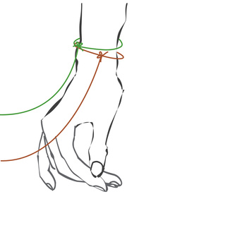 Line R