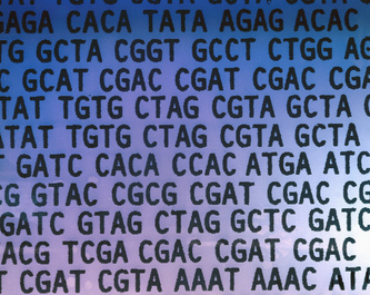 DNA Sequence