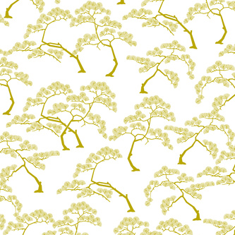 Bonzai 05