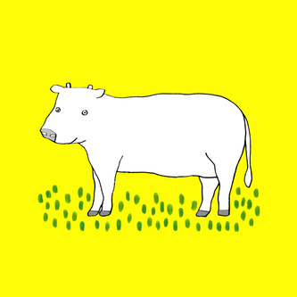 Cow 2