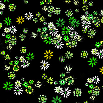 Inky's Big Night Flowers