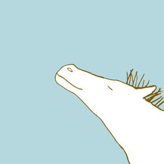 The Feel Of Wind