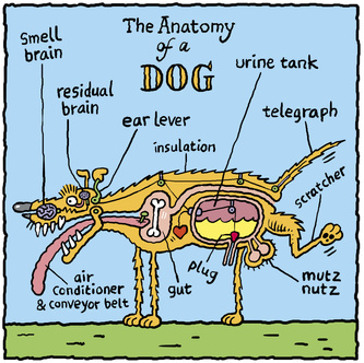 The Anatomy of a Dog