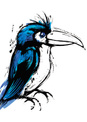 A Blue Bird