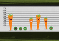 Police Line-up