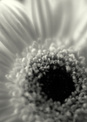 scan_644.jpg