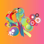Parrot