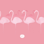 flamencos 