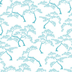 Bonzai 02