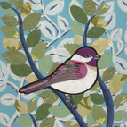 spring chickadee