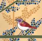 mod baby warbler