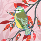 green tit
