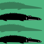 Jungle Alligator