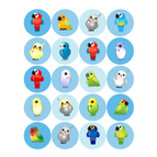 Parrotdise