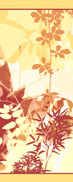 Butterfly love  2