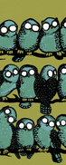 Bird Gossip