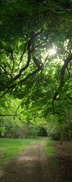 _MG_5694.jpg