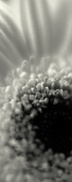 scan_644.jpg