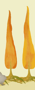 017