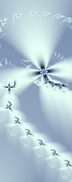 Flower 4