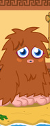 Furi 