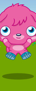 Poppet 