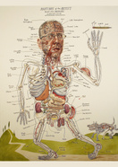 Anatomy of an Artist