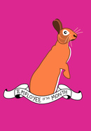 Top Bunny
