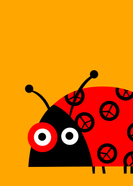 Chung Peace Bug 