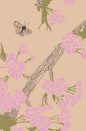  Blossom and Butterfly
