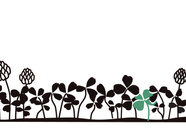 Clover