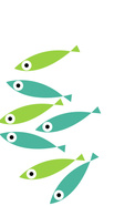Chung Card Fish 