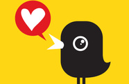 love bird 