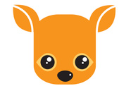 deer  