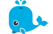 whale 
