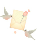 rosy love birds 