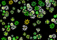Inky's Big Night Flowers