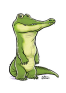 Alligator
