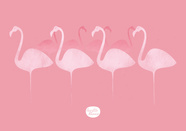 flamencos 