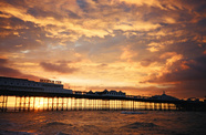 The Palace Pier