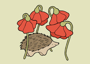 Hedgehog