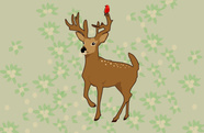 Deery