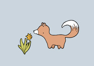 Spring Fox