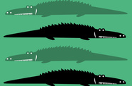 Jungle Alligator