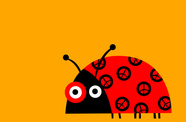 Chung Peace Bug 