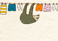 sloth on clothes line