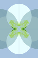 1090-2.jpg