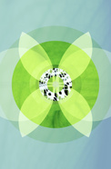 1096-2.jpg