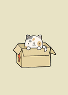 cat in a box 
